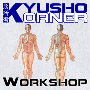 Kyusho Workshop